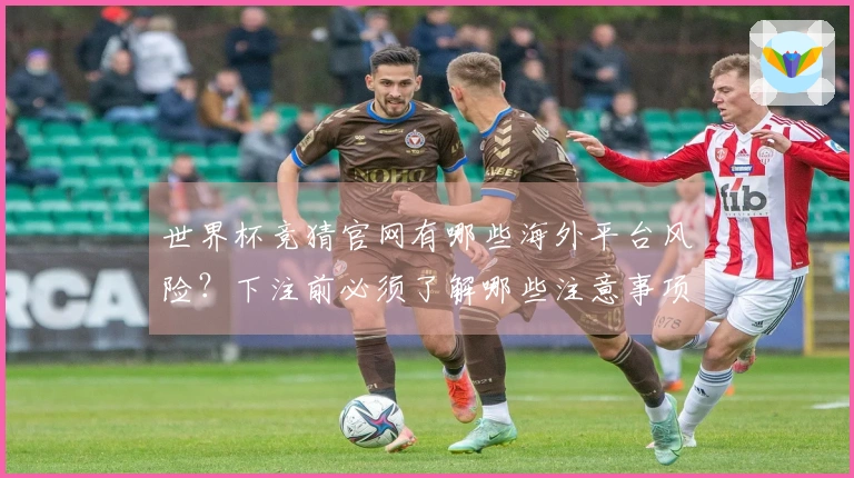 世界杯竞猜官网有哪些海外平台风险？下注前必须了解哪些注意事项？