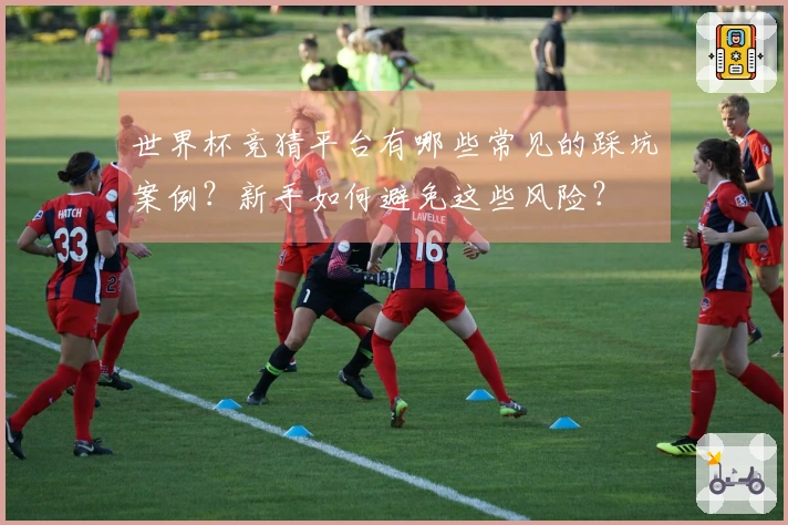 世界杯竞猜平台有哪些常见的踩坑案例？新手如何避免这些风险？