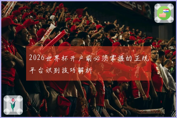2026世界杯开户前必须掌握的正规平台识别技巧解析