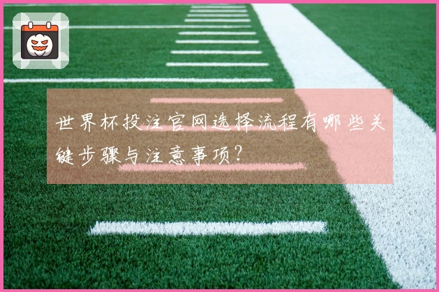 世界杯投注官网选择流程有哪些关键步骤与注意事项？