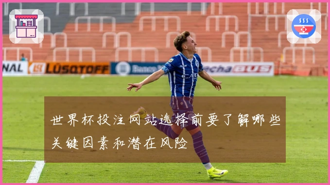 世界杯投注网站选择前要了解哪些关键因素和潜在风险