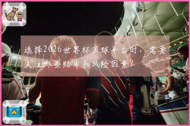 选择2026世界杯买球平台时，需要关注哪些赔率和风险因素？