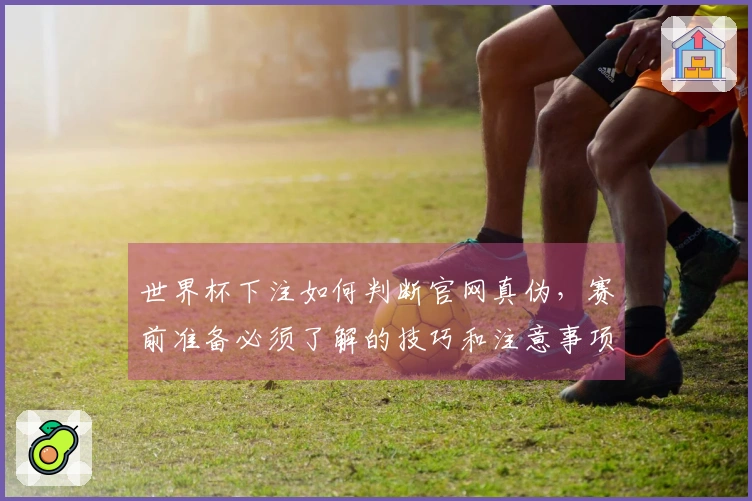 世界杯下注如何判断官网真伪，赛前准备必须了解的技巧和注意事项
