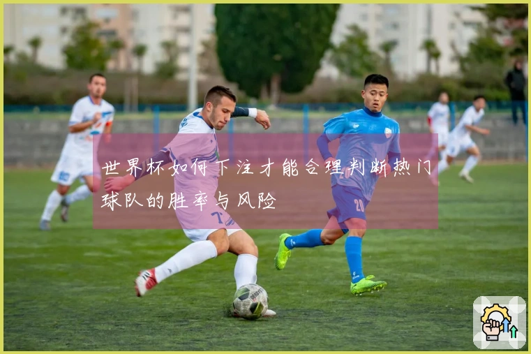 世界杯如何下注才能合理判断热门球队的胜率与风险