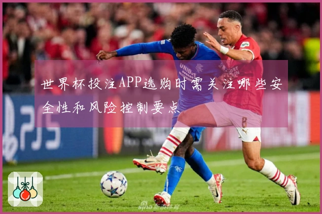 世界杯投注APP选购时需关注哪些安全性和风险控制要点
