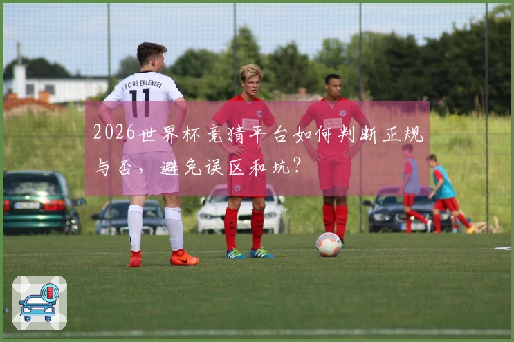 2026世界杯竞猜平台如何判断正规与否，避免误区和坑？