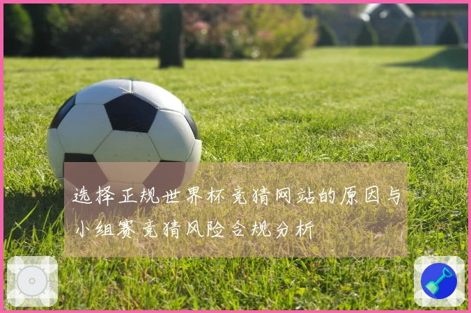 选择正规世界杯竞猜网站的原因与小组赛竞猜风险合规分析
