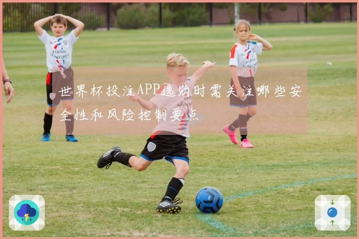 世界杯投注APP选购时需关注哪些安全性和风险控制要点