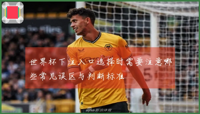 世界杯下注入口选择时需要注意哪些常见误区与判断标准