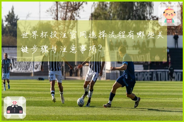 世界杯投注官网选择流程有哪些关键步骤与注意事项?