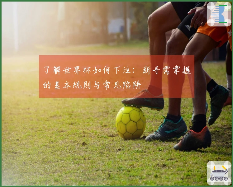 了解世界杯如何下注：新手需掌握的基本规则与常见陷阱