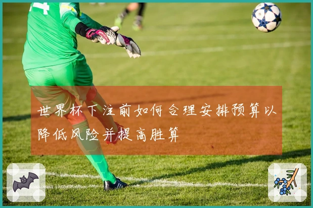 世界杯下注前如何合理安排预算以降低风险并提高胜算