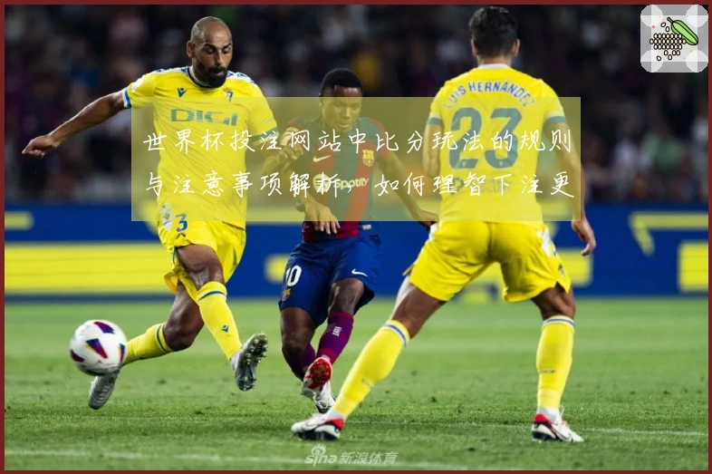 世界杯投注网站中比分玩法的规则与注意事项解析，如何理智下注更有效？