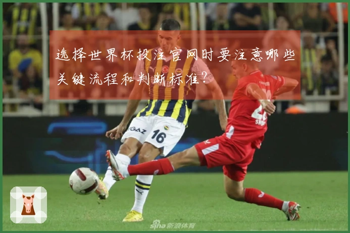 选择世界杯投注官网时要注意哪些关键流程和判断标准？