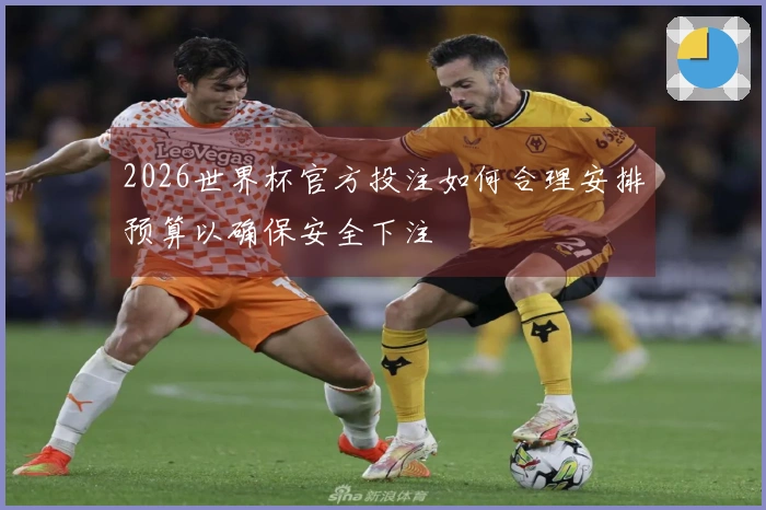 2026世界杯官方投注如何合理安排预算以确保安全下注