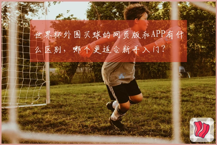 世界杯外围买球的网页版和APP有什么区别，哪个更适合新手入门？